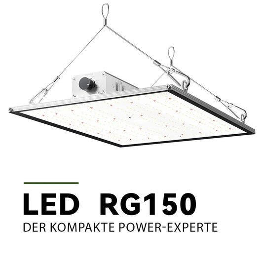 Growealth RG150 LED-Pflanzenlampe als Zusatzlicht fuer Zimmerpflanzen im Winter