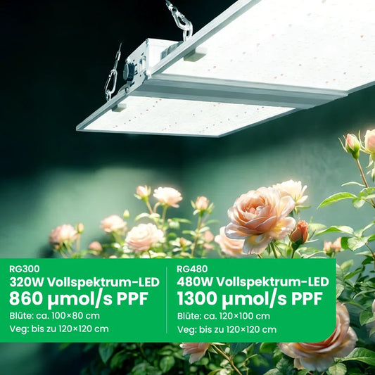 Growealth RG Series LED-Pflanzenlampe mit PPF Angabe in µmol pro Sekunde