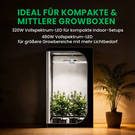 Growealth RG300 LED-Pflanzenlampe als Alternative zu einer 250W NDL