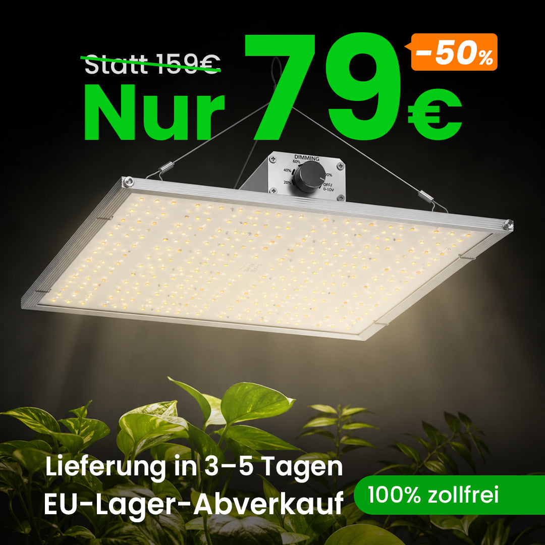 Kompakte 150W Vollspektrum-LED-Pflanzenlampe für kleine Anbauflächen