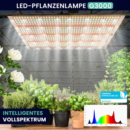 Growealth G3000 300W Vollspektrum-LED-Pflanzenlampe für Growzelte