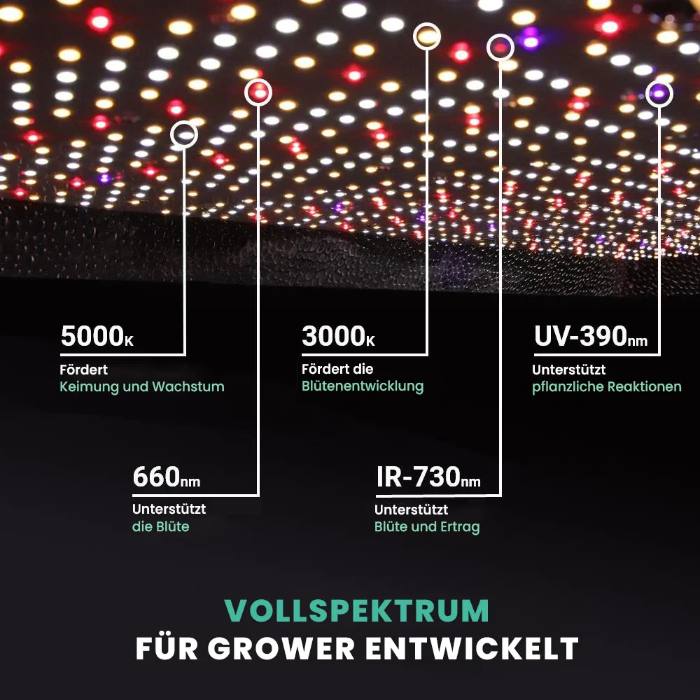 Growealth G3000 300W Vollspektrum LED-Pflanzenlampe für Indoor-Garten