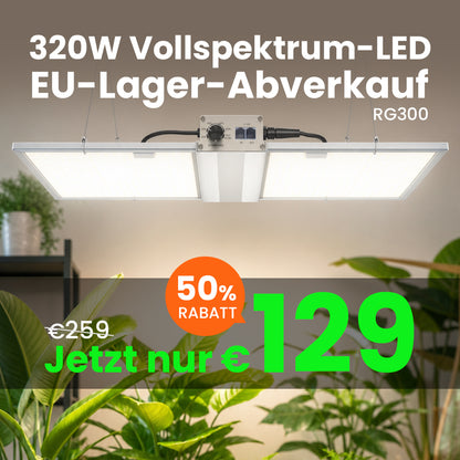 RG Series 320W / 480W Vollspektrum-LED-Pflanzenlampe für Indoor-Growboxen