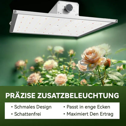 Kompakte 150W Vollspektrum-LED-Pflanzenlampe für kleine Anbauflächen