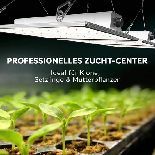 Kompakte 150W Vollspektrum-LED-Pflanzenlampe für kleine Anbauflächen