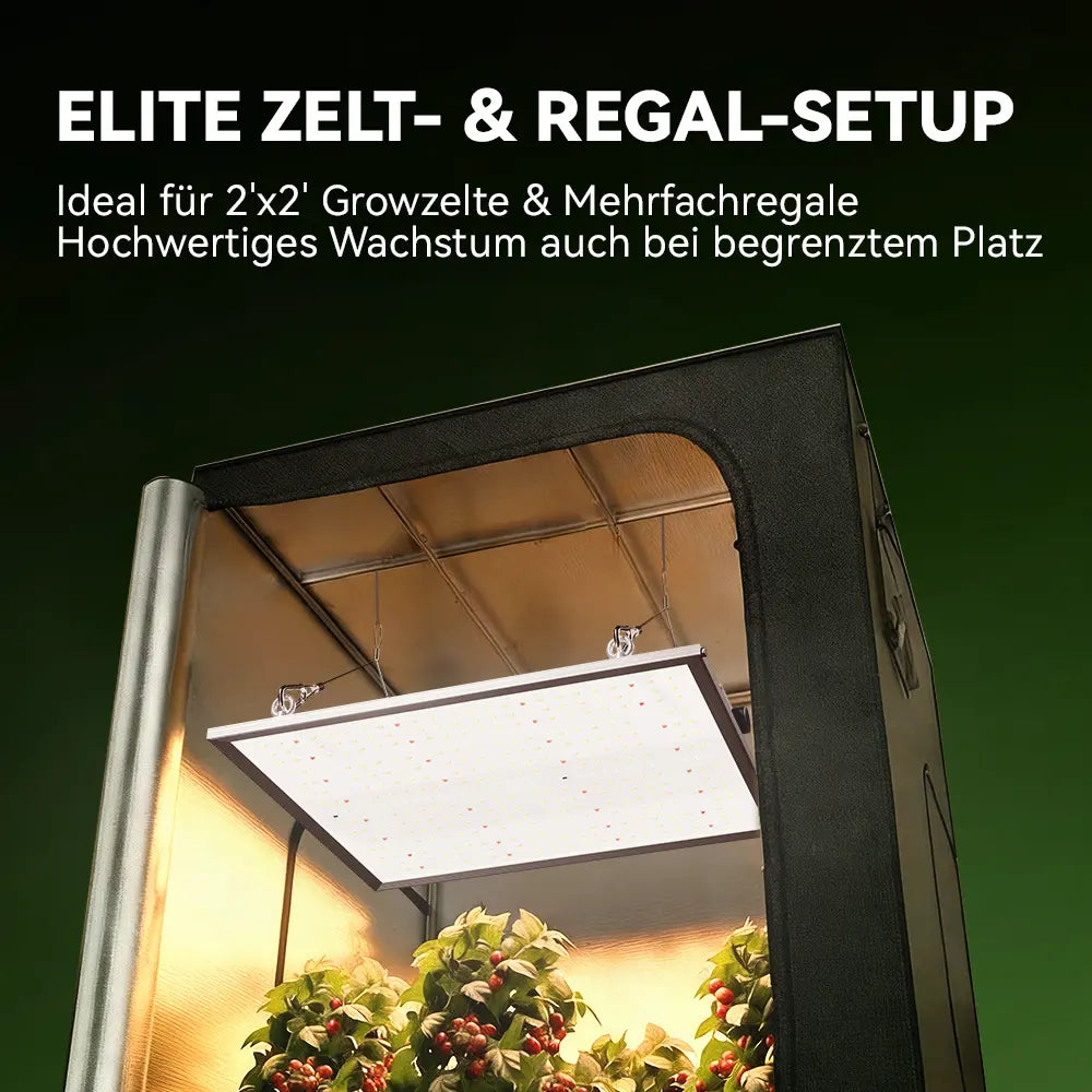 Kompakte 150W Vollspektrum-LED-Pflanzenlampe für kleine Anbauflächen