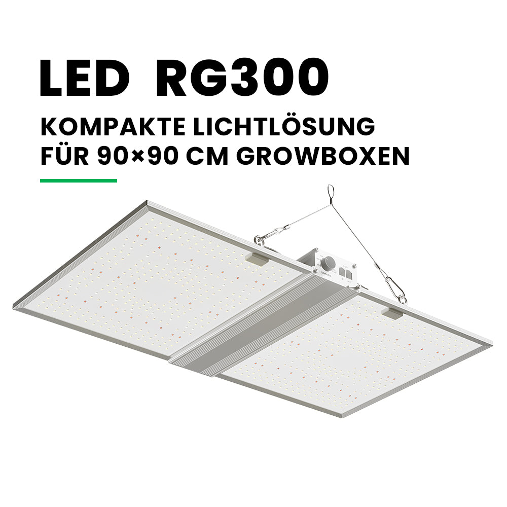 RG Series 320W / 480W Vollspektrum-LED-Pflanzenlampe für Indoor-Growboxen