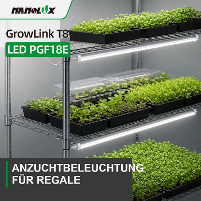 Nanolux GrowLink T8 LED PGF18E Beleuchtung an einem Anzuchtregal